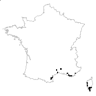 Ferula communis L. subsp. communis - carte des observations