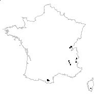 Festuca alpina Suter - carte des observations