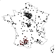 Poa elatior (L.) Clairv. - carte des observations