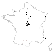 Festuca pratensis var. intermedia Gaudin ex Mutel - carte des observations