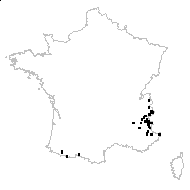 Simlera alpina (L.) Bubani - carte des observations