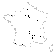 Gentiana pneumonanthe L. subsp. pneumonanthe var. pneumonanthe - carte des observations