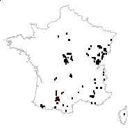 Geranium robertianum L. subsp. robertianum - carte des observations