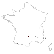 Cistus oelandicus L. - carte des observations