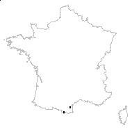 Onopordum acaulon L. - carte des observations