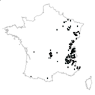 Tussilago lutea J.F.Gmel. - carte des observations