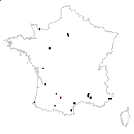 Tussilago pyrenaica L. - carte des observations