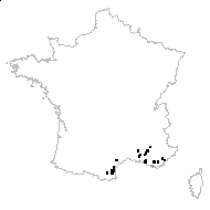 Picnomon acarna (L.) Cass. - carte des observations