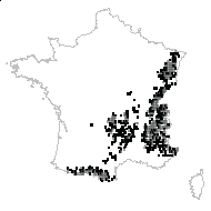 Prenanthes purpurea L. - carte des observations