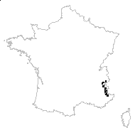 Saussurea alpina subsp. depressa (Gren.) Gremli - carte des observations