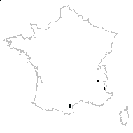 Saussurea discolor (Willd.) DC. - carte des observations