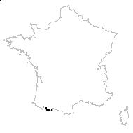 Scorzonera alpina Hoppe - carte des observations