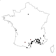 Podospermum intermedium DC. - carte des observations