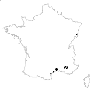 Bupleurum lancifolium Hornem. - carte des observations