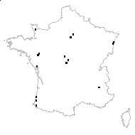 Senecio aquaticus Hill - carte des observations