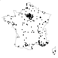 Cineraria dubia Weigel - carte des observations