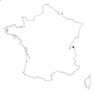 Jacobaea alpina (L.) Moench - carte des observations