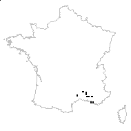 Hieracium anglicum subsp. gougetianum (Gren. & Godr.) Nyman - carte des observations