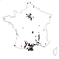 Senecio inaequidens DC. - carte des observations