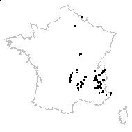 Senecio ovatus subsp. alpestris (Gaudin) Herborg - carte des observations