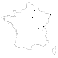 Senecio paludosus L. - carte des observations