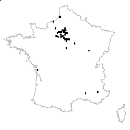 Triticum vulgare (L.) Salisb. - carte des observations