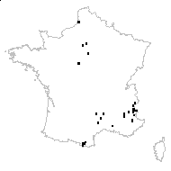 Hyoscyamus niger L. var. niger - carte des observations