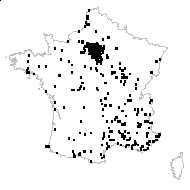 Sonchus asper (L.) Hill subsp. asper - carte des observations