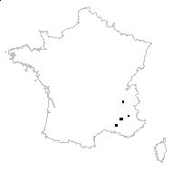 Lactuca viminea (L.) J.Presl & C.Presl subsp. viminea - carte des observations