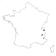 Rhaponticum scariosum Lam. subsp. scariosum - carte des observations