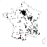 Lapsana communis var. crispa (Willd.) Rouy - carte des observations