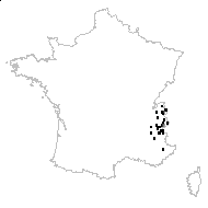 Laserpitium halleri Crantz subsp. halleri - carte des observations