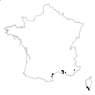 Bupleurum semicompositum L. - carte des observations