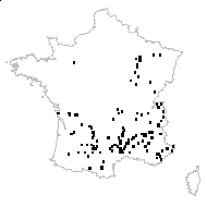 Lathyrus sylvestris L. subsp. sylvestris - carte des observations