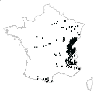 Lathyrus vernus (L.) Bernh. f. vernus  - carte des observations