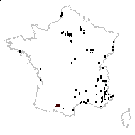 Tetragonolobus prostratus Moench - carte des observations