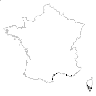 Medicago littoralis Rohde ex Loisel. var. littoralis - carte des observations