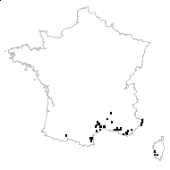 Medicago orbicularis (L.) Bartal. var. orbicularis - carte des observations