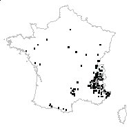 Melampyrum violaceum Lam. - carte des observations