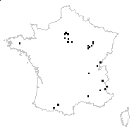 Mentha spicata L. subsp. spicata - carte des observations