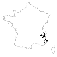 Arenaria laricifolia subsp. striata (L.) Bonnier & Layens - carte des observations