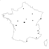 Tragopogon dubius subsp. major (Jacq.) Vollm. - carte des observations