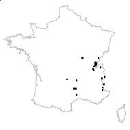 Thlaspi sylvestre Jord. - carte des observations