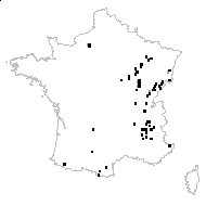 Noccaea montana (L.) F.K.Mey. subsp. montana - carte des observations