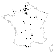 Euphrasia odontites proles longifolius (Corb.) Rouy - carte des observations