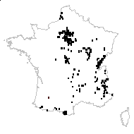 Tragopogon leiocarpos Saut. - carte des observations