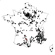 Ononis natrix L. - carte des observations