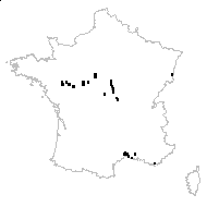 Xanthium orientale L. subsp. orientale - carte des observations