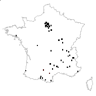 Impatiens balfourii Hook.f. - carte des observations