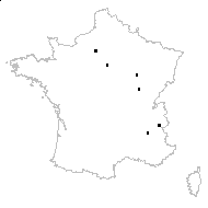 Orchis ×jacquini n-var. media Rouy - carte des observations